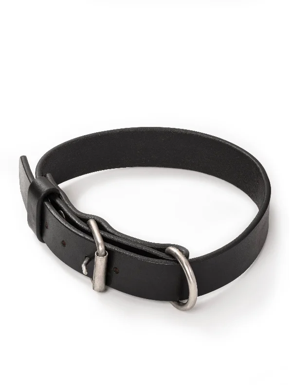 Agitation Leather Dog Collar